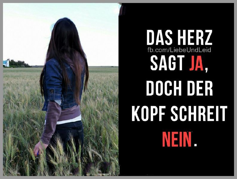 Bilder Zu Spruch Herz Sagt Ja Angst Kopf Nein Was Dein Herz Sagt