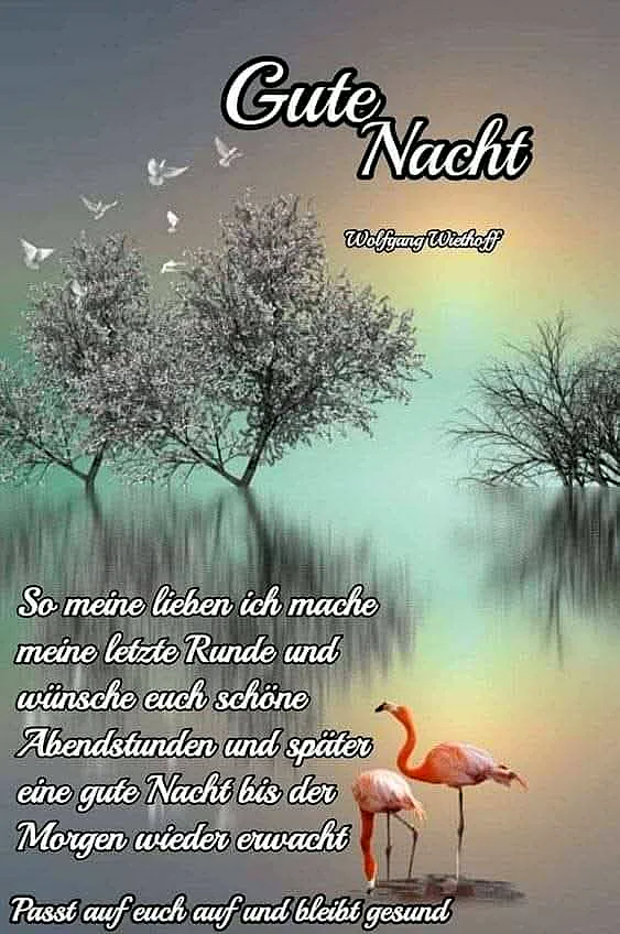 Gute Nacht Wünsche mit friedlichen Flamingos
