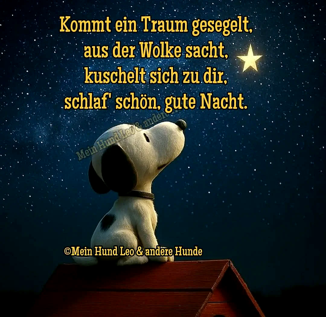 Ein Cartoonhund vom Typ Snoopy sitzt friedlich auf einem roten Hundehüttendach und blickt verträumt zu einem leuchtenden Stern am tiefblauen Nachthimmel voller unzähliger Sterne. Ein sanfter Gute-Nacht-Spruch schwebt über der Szene.