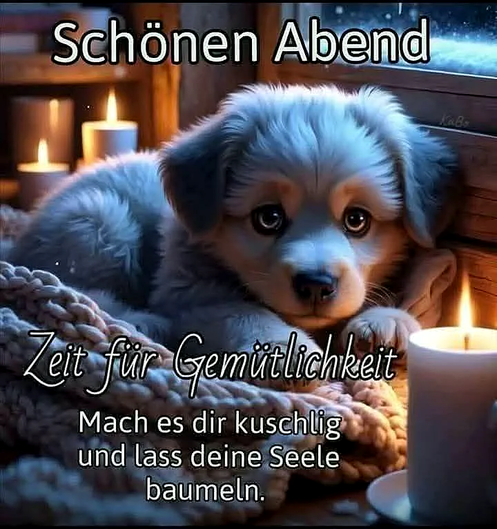Schönen Abend: Zeit für Gemütlichkeit