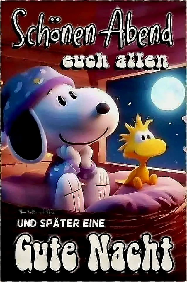 Snoopy und Woodstock wünschen eine gute Nacht