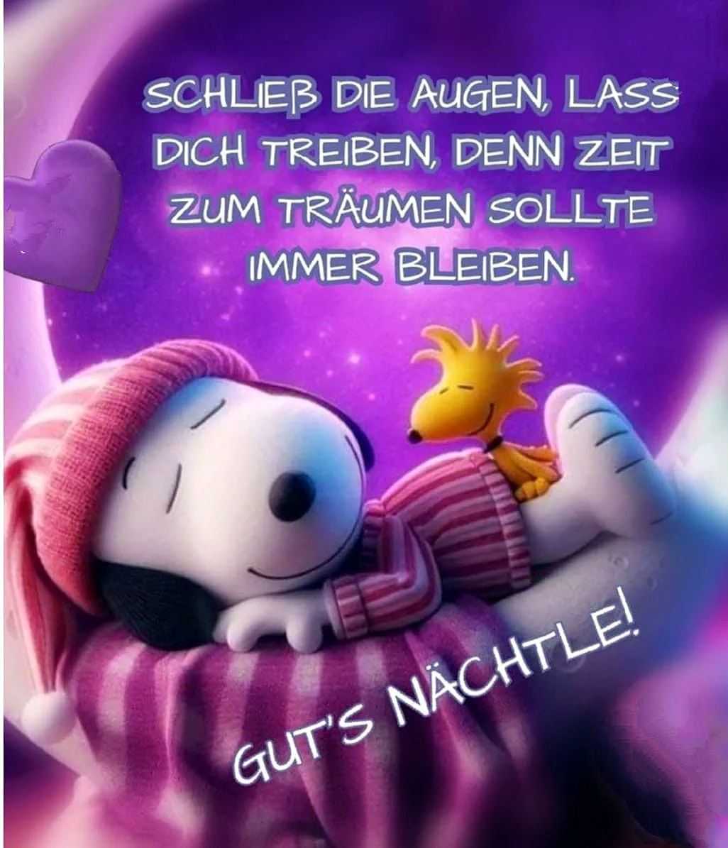 Snoopy wünscht dir eine süße Gute Nacht voller schöner Träume