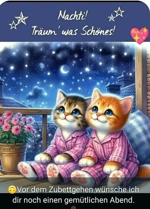 Süße Gute Nacht Bilder: Kuschelige Kätzchen für entspannte Träume