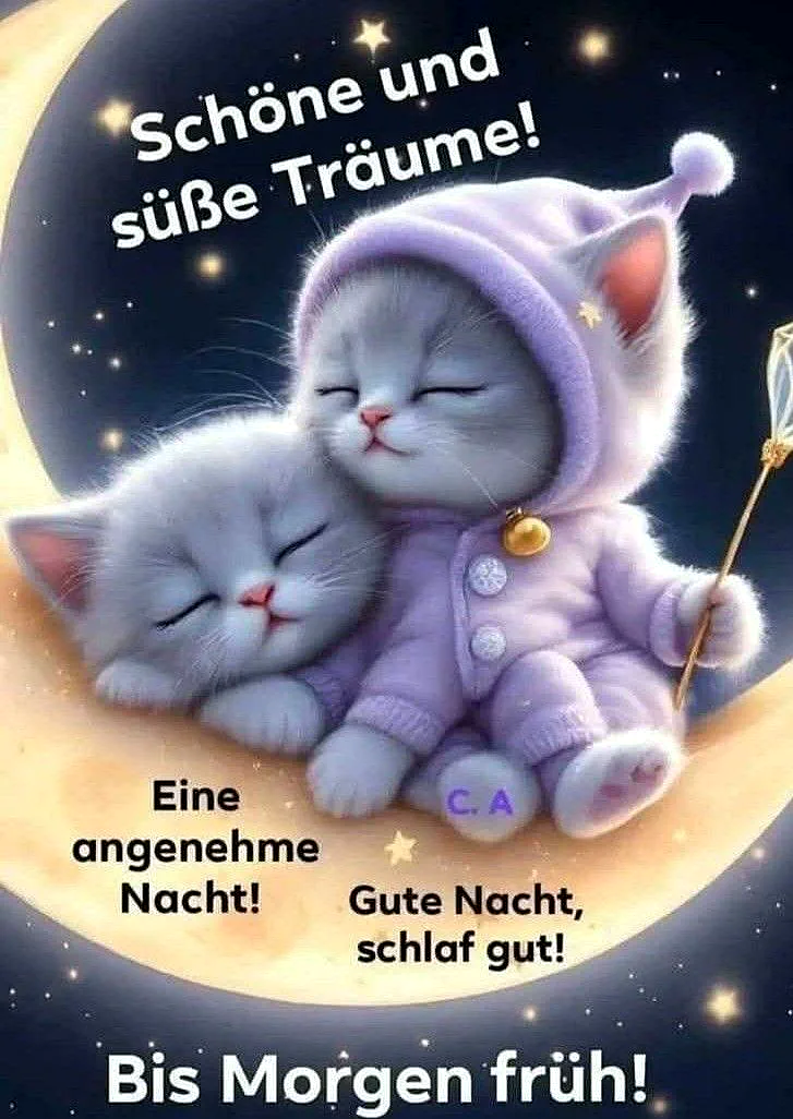 Süße Gute Nacht Bilder: Kuschelige Kätzchen wünschen schöne Träume
