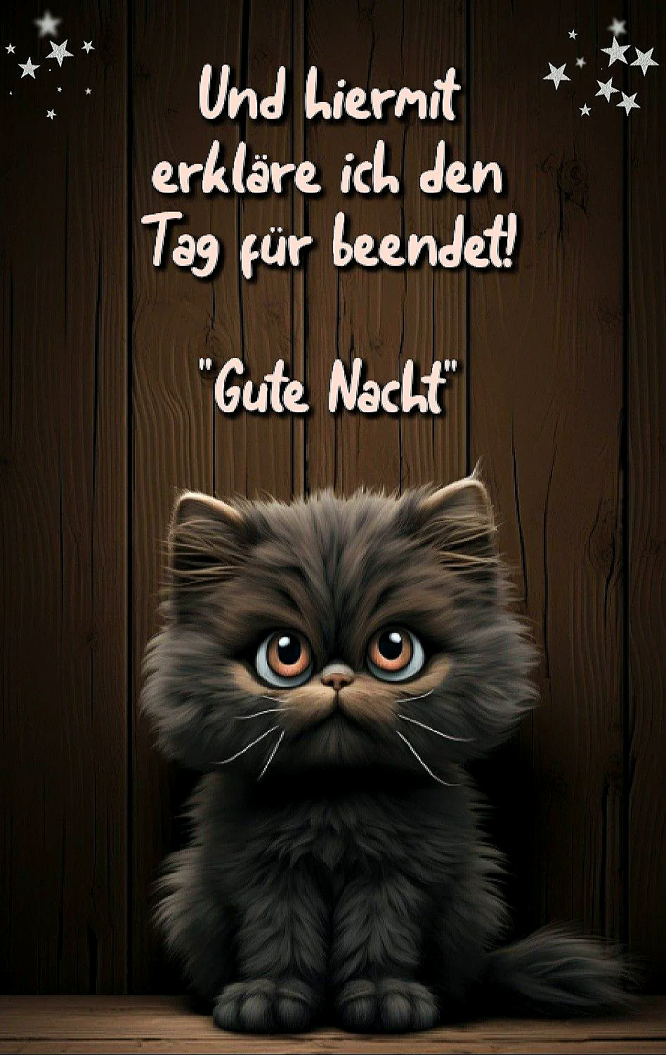 Ein flauschiges, dunkelgraues Kätzchen mit großen, runden Augen und niedlichen Schnurrhaaren sitzt vor einer rustikalen Holzwand und lädt mit dem Spruch "Gute Nacht" zum Entspannen ein. Sterne glitzern dezent im Hintergrund.