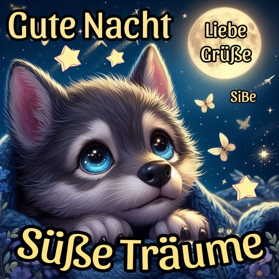 Niedlicher Wolfswelpe mit großen blauen Augen, eingekuschelt unter einem sternenklaren Nachthimmel mit Vollmond und Schmetterlingen. Der Gruß „Gute Nacht! Liebe Grüße, Süße Träume“.