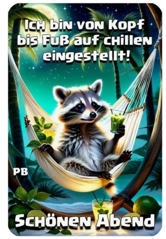 Ein Cartoon-Waschbär entspannt in einer Hängematte unter Palmen bei Mondschein, hält einen grünen Drink. Das Bild wünscht einen „Schönen Abend“.