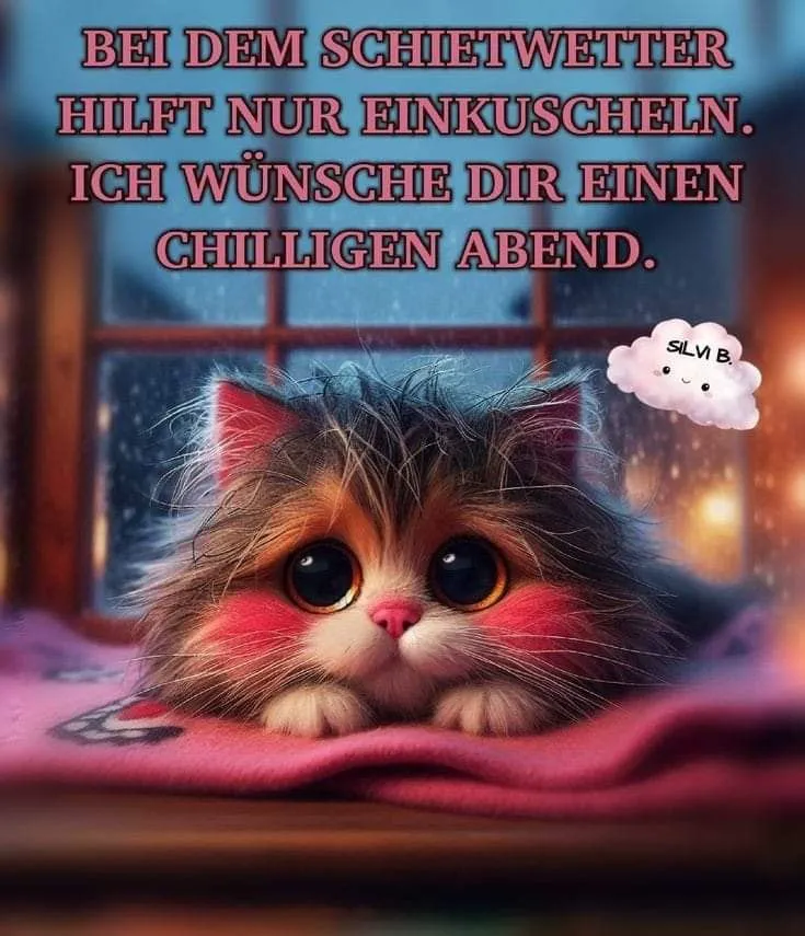 Ein süßes, flauschiges Kätzchen mit großen Kulleraugen und roten Bäckchen liegt gemütlich auf einer rosafarbenen Decke. Draußen schlechtes Wetter, perfekt zum Einkuscheln und Wünsche versenden.
