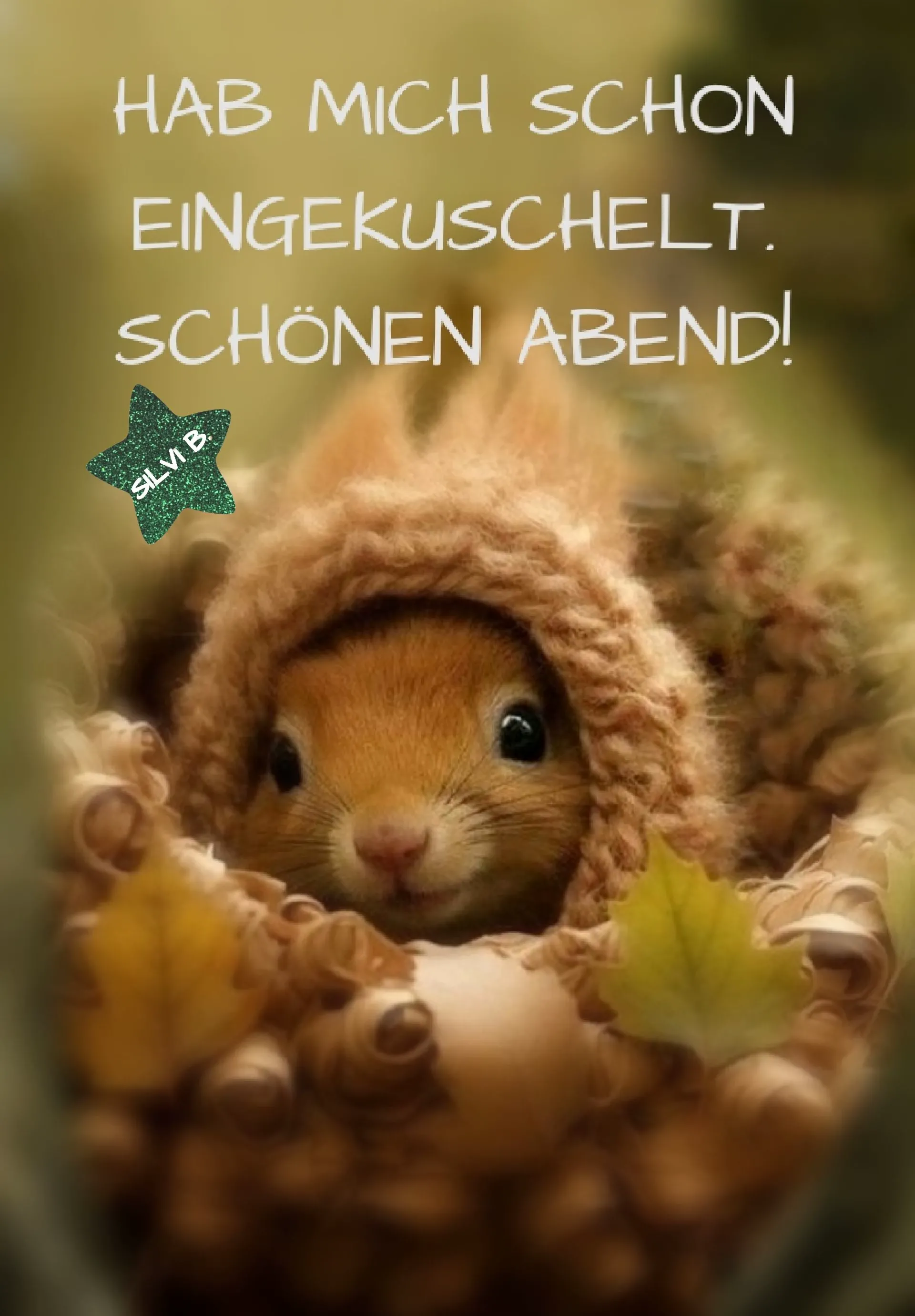 Süßer Abendgruß - Hab mich schon eingekuschelt