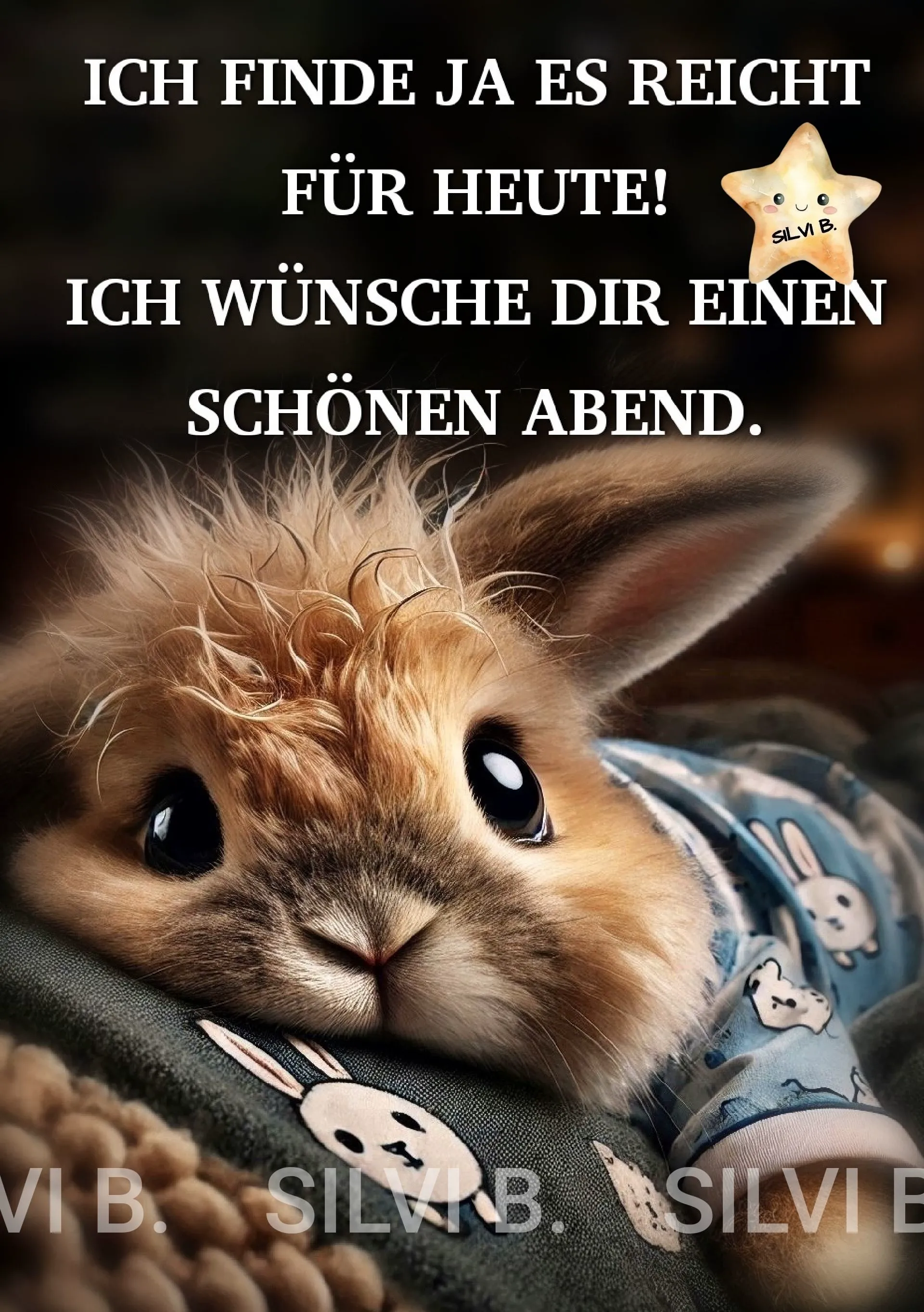 ICH FINDE JA ES REICHT FÜR HEUTE! Ein Guten-Abend-Grußbild für dich
