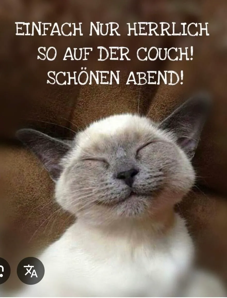 Schönen Abend auf der Couch! Entspannte Guten-Abend-Grüße zum Teilen