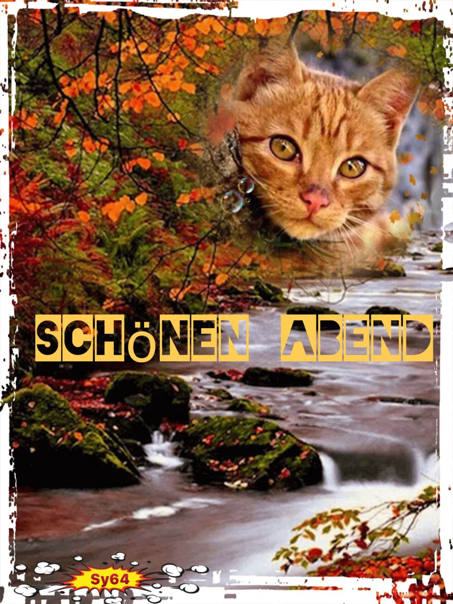 Schönen Abend - Ein Guten-Abend-Grußbild für einen entspannten Abend