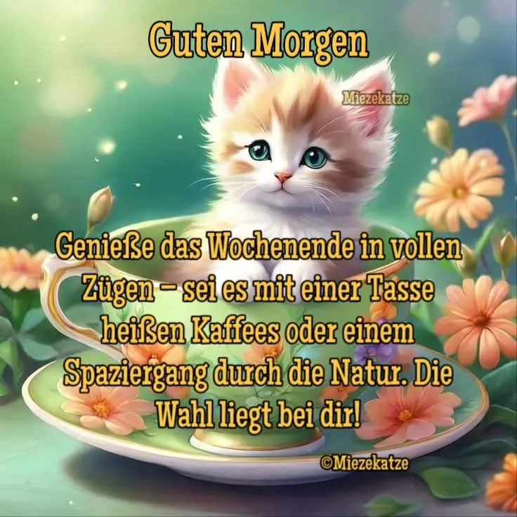 Ein entzückendes braun-weißes Kätzchen mit leuchtend blauen Augen sitzt gemütlich in einer mintgrünen Teetasse, umgeben von blühenden orangen Blumen und sanftem Morgenlicht. Es strahlt pure Wochenend-Freude und Gemütlichkeit aus.