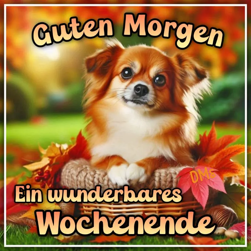 Ein flauschiger Wochenendgruß mit Herz und Herbstlicht im Fell