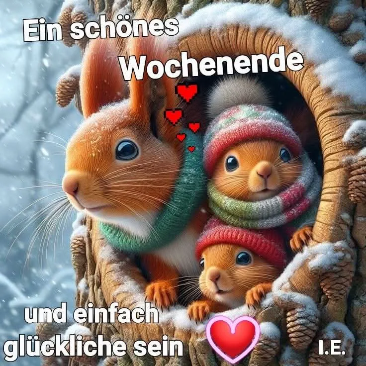 Ein herzlicher Gruß zum Wochenende - Süße Eichhörnchen