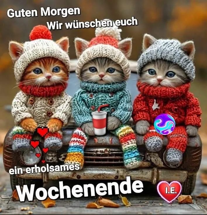 Herzliche Grüße zum Wochenende: Drei süße Kätzchen wünschen dir eine erholsame Zeit
