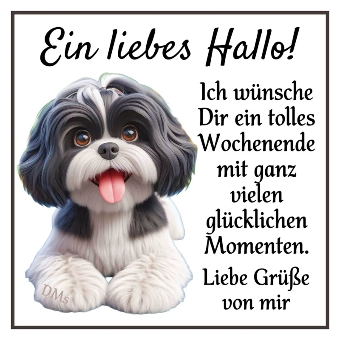 Ein entzückender Shih Tzu Hund, schwarz-weiß und flauschig, mit herausgestreckter Zunge und treuen Augen, wünscht von Herzen ein wunderschönes Wochenende voller glücklicher Momente und Liebe.
