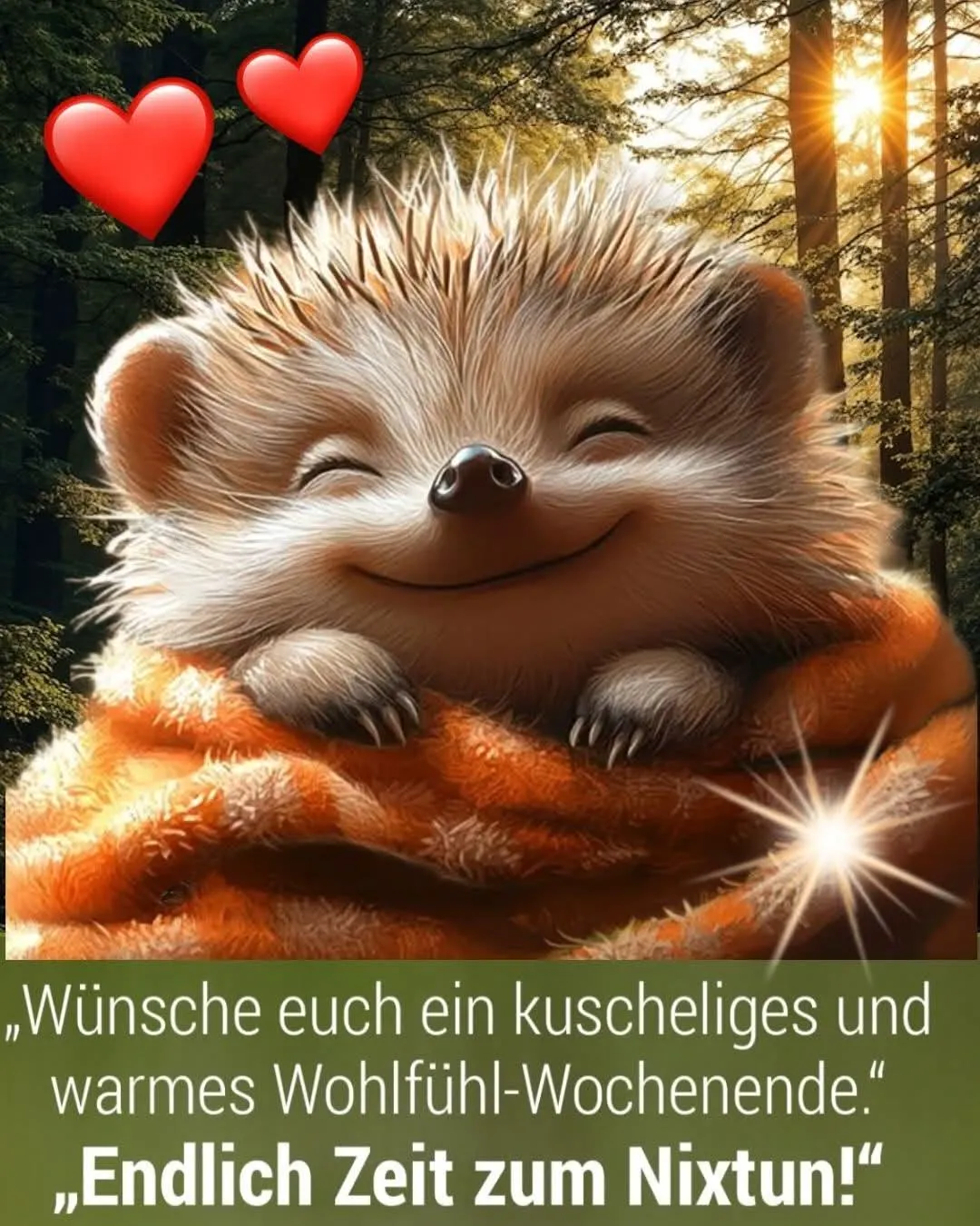Schönes Wochenende: Knuddeliger Igel wünscht dir süße Nixtun-Momente!