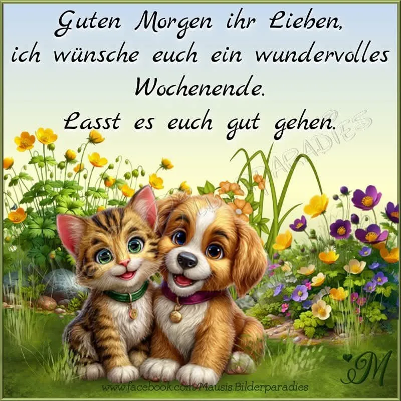 Schönes Wochenende: Süße Freunde grüßen mit Blumen und Sonnenschein