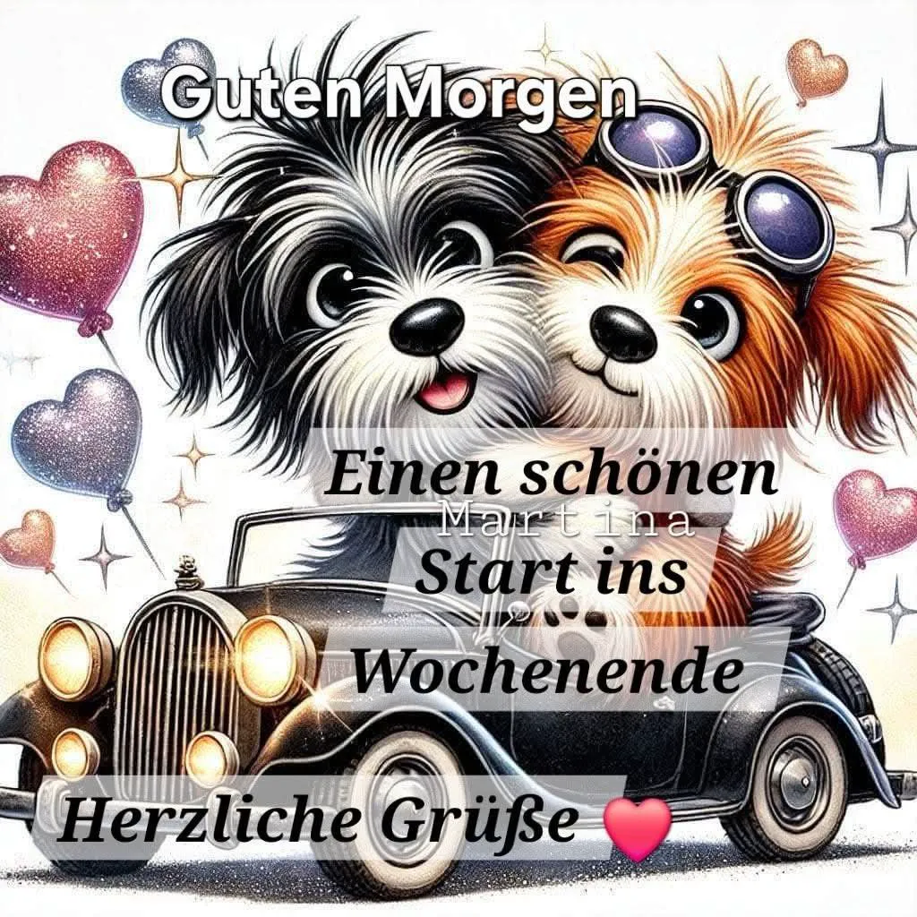 Schönes Wochenende: Süße Hunde im Oldtimer – Grüße voller Zuneigung