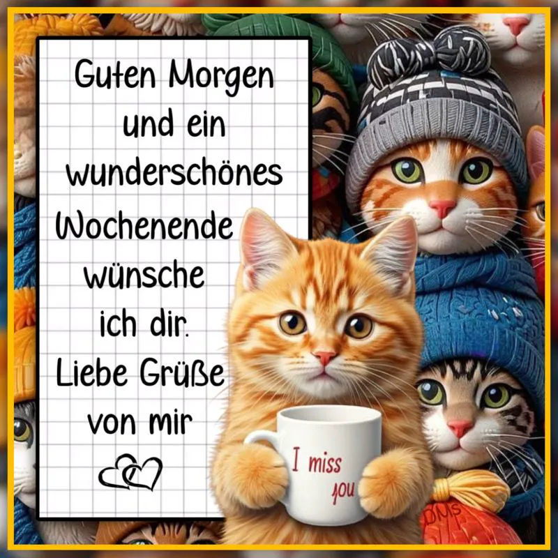Wunderschönes Wochenende mit süßen Katzen