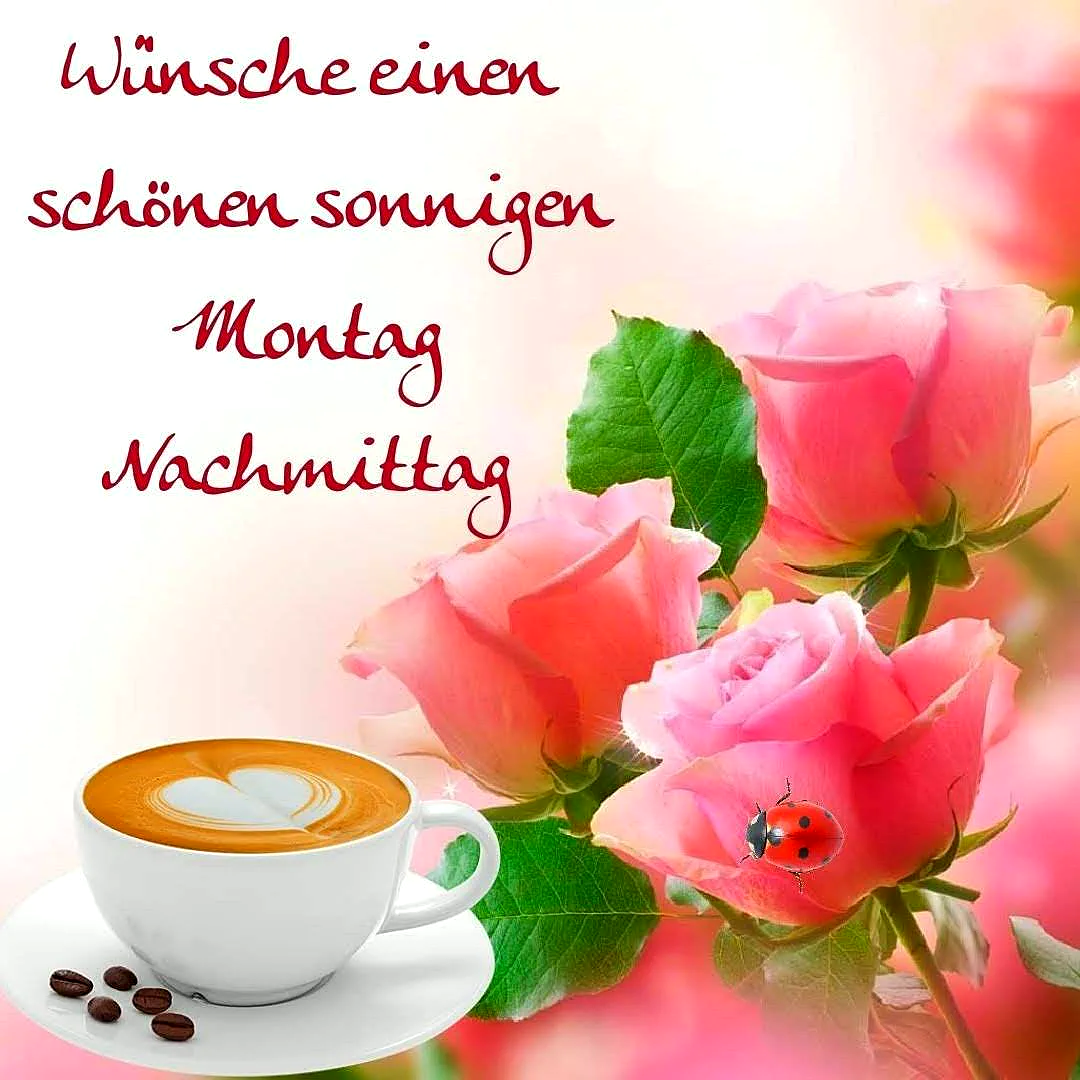 Dein Montagnachmittag: Sonne, Kaffee und liebevolle Grüße für neue Kraft