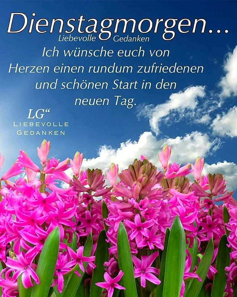 Dienstag: Ein zufriedener Start & ruhige Energie für deinen Tag