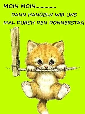 Donnerstag-Gruß: Moin Moin! Dann hangeln wir uns mal durch den Donnerstag