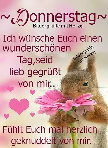 Donnerstag-Gruß: Wunderschönen Tag!