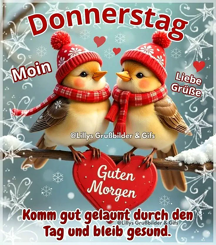Donnerstag-Gruß: Zwei Vögel auf einem Schneezweig
