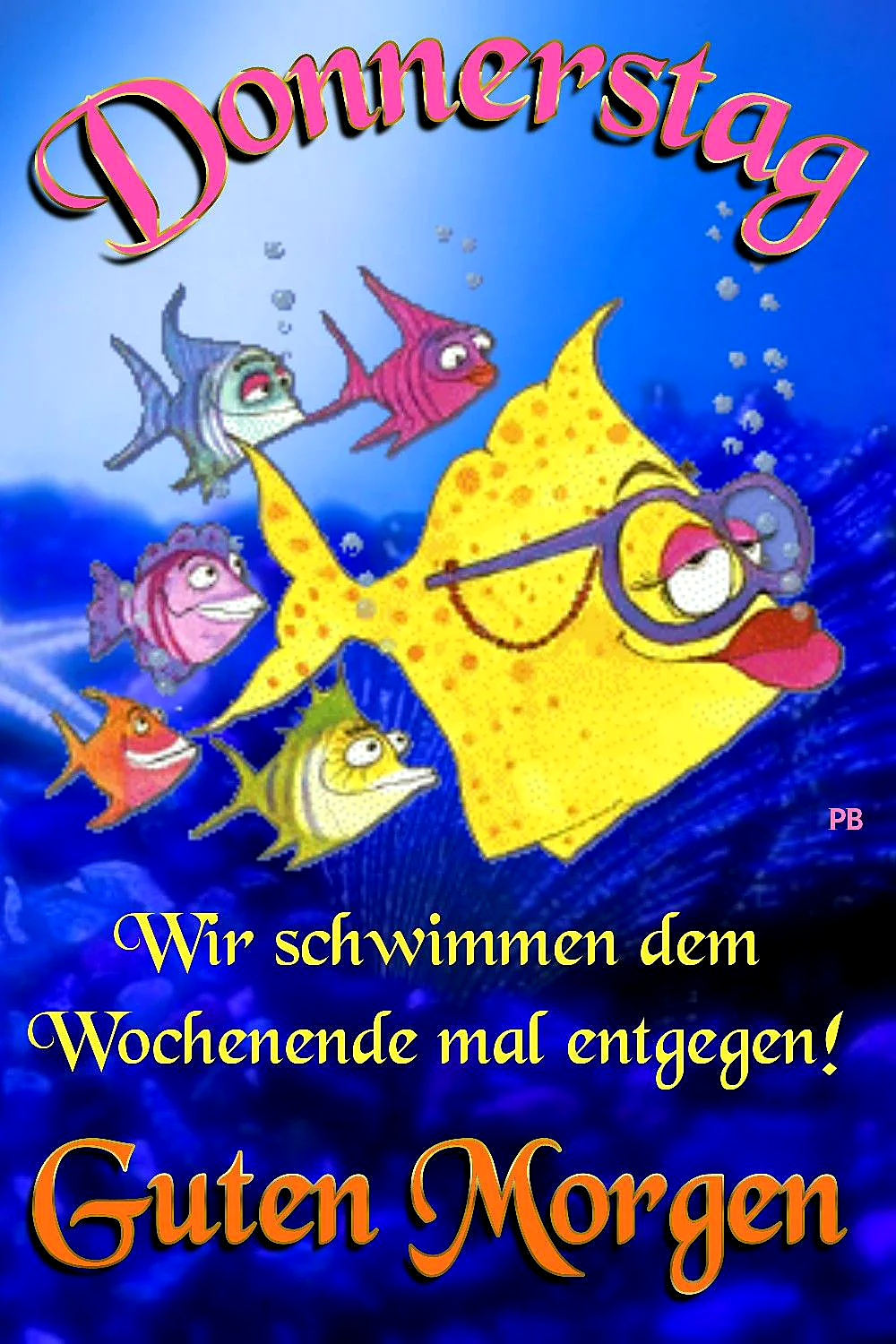 Donnerstag: Guten Morgen - Schwimme zum Wochenende