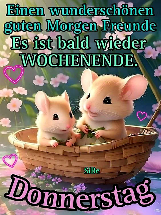 Donnerstag: Warme Wochenend-Vorfreude mit süßen Mäuschen genießen