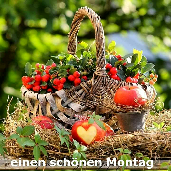 Ein Körbchen mit roten Beeren und Blättern, Äpfeln und einem Herzen aus einem Apfel geschnitten, liegt auf Stroh, im Hintergrund verschwommenes Grün.