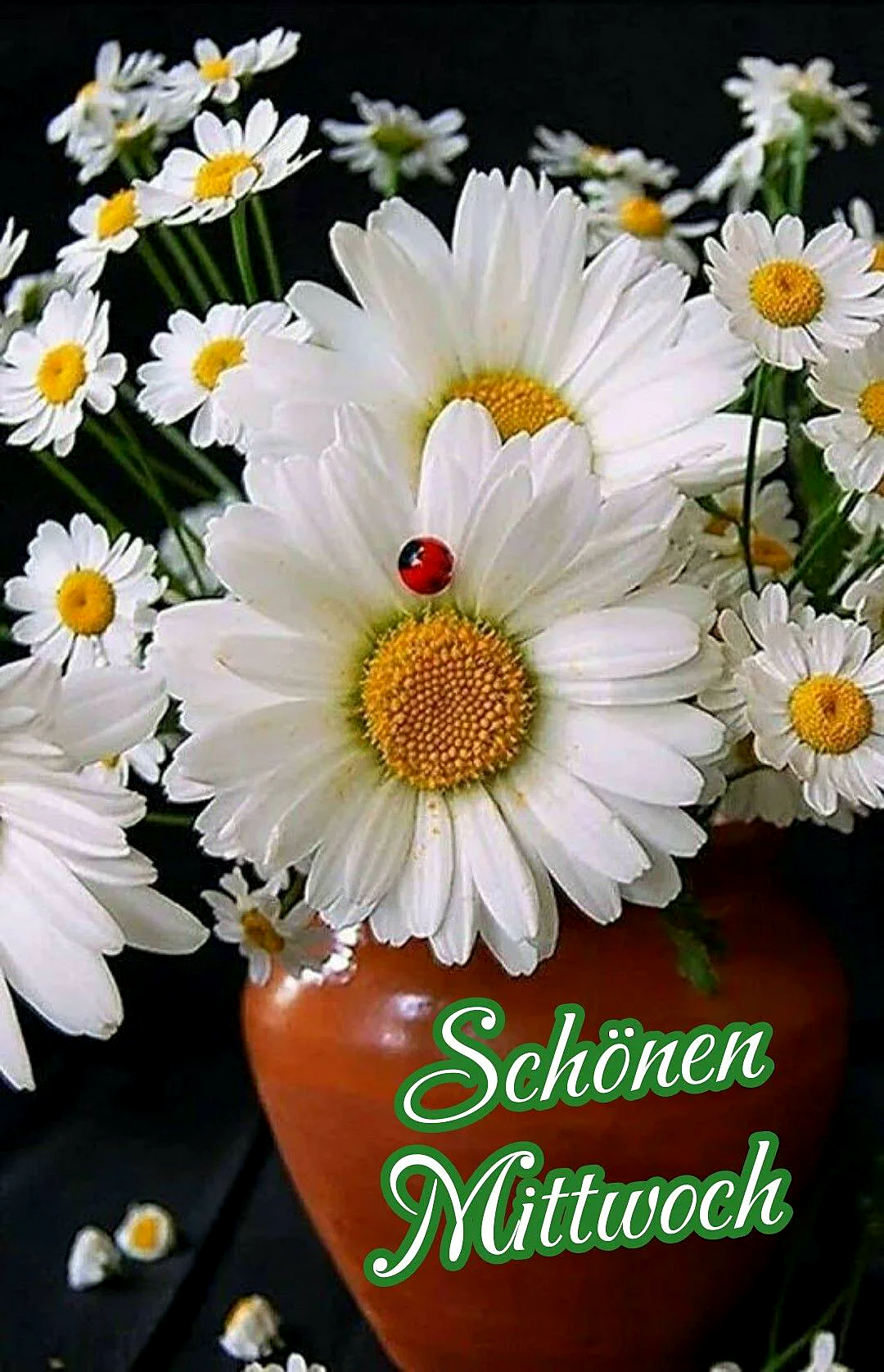 Ein fröhlicher Gruß zum Mittwoch: Schönes Wochenende voraus!