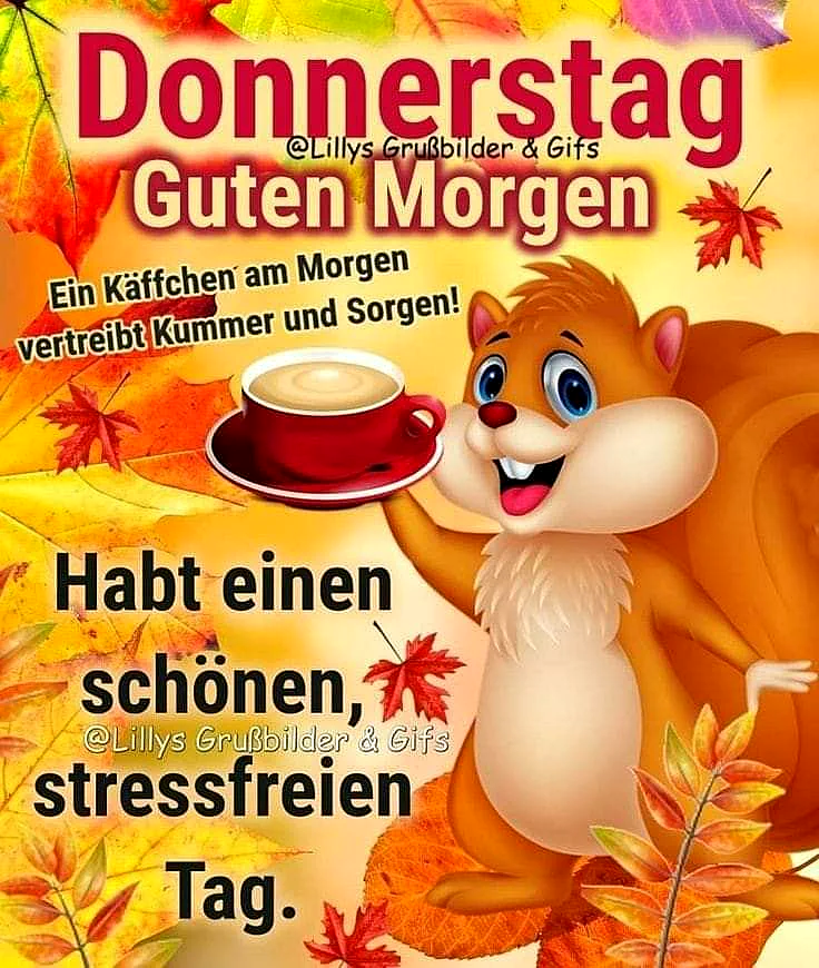 Ein gemütlicher Donnerstag: Kaffee, Eichhörnchen & Herbststimmung für dich!
