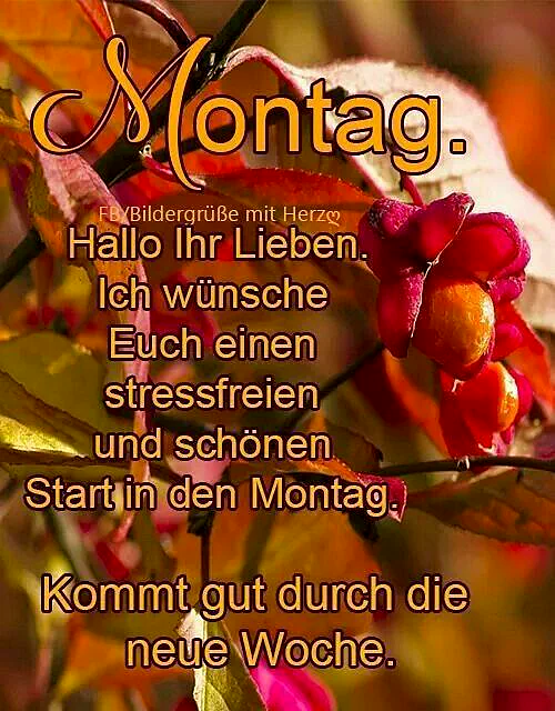 Ein kraftvoller Montag beginnt: Optimistisch in die Arbeitswoche!
