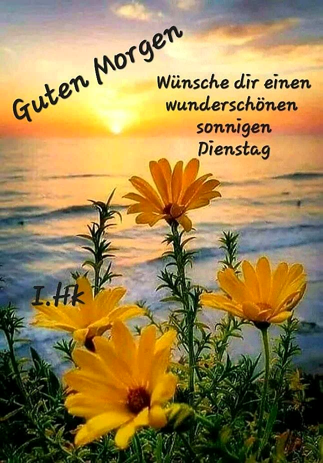 Ein sonniger Dienstag: Warme Morgengrüße für einen Tag voller Fokus