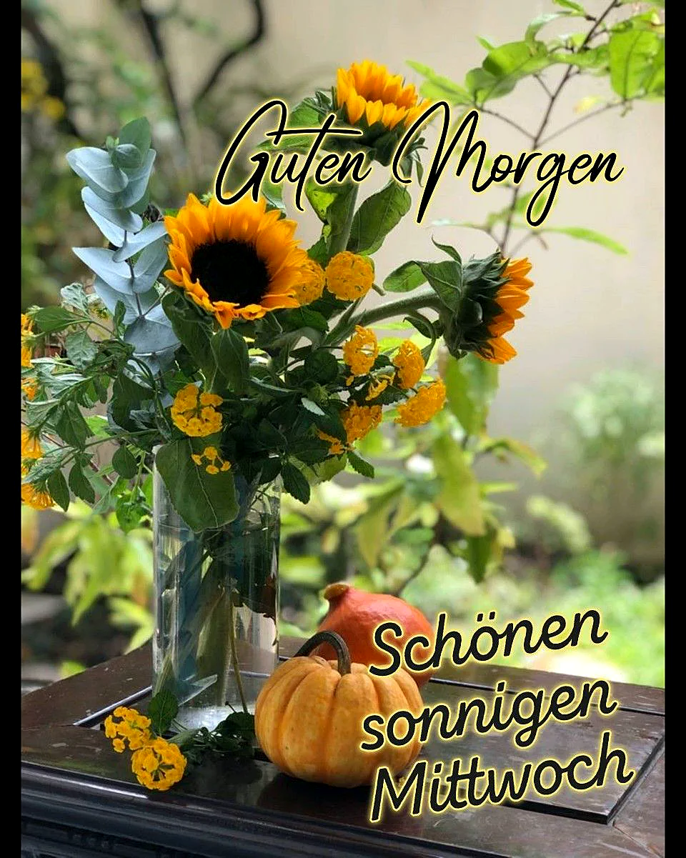 Ein sonniger Mittwoch winkt: Halbzeit-Glück mit strahlenden Grüßen!