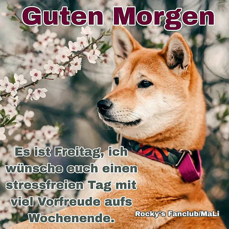 Endlich Freitag! Dein tierischer Gruß für den Start ins genussvolle Wochenende