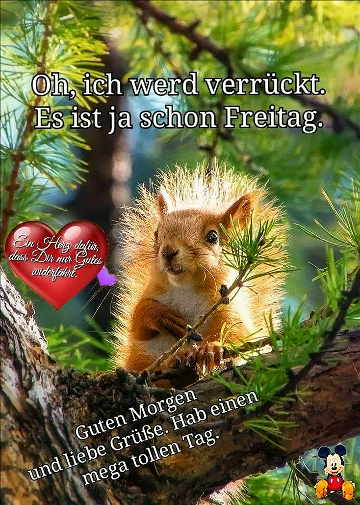 Ein Eichhörnchen sitzt auf einem Baumstamm, umgeben von grünen Zweigen und Blättern. Es hat ein freundliches Gesicht und eine aufgeregte Haltung. Ein rotes Herz mit einem positiven Spruch ist im Bild.