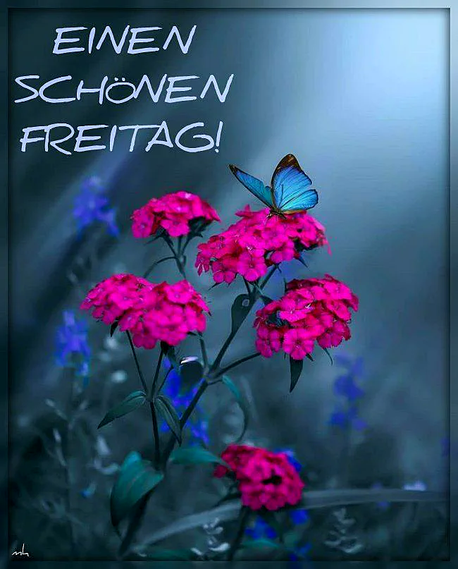 Freitagswünsche - Schönen Freitag, Entspannte Tage