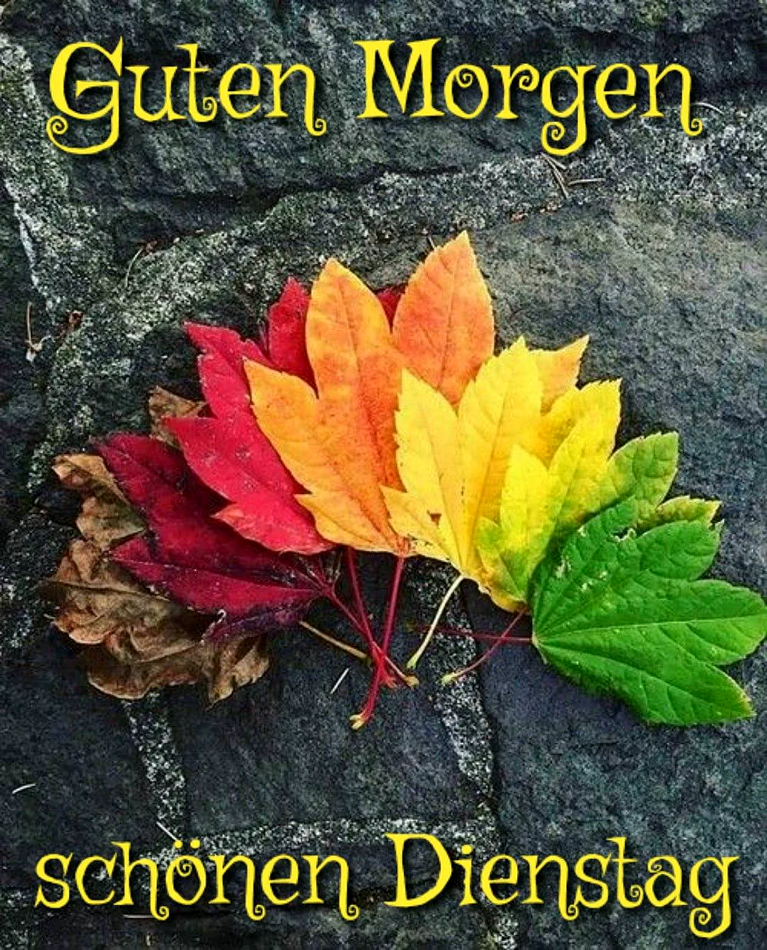 Guten Morgen! Dein Dienstag: Fokus, Rhythmus, beste Energie.