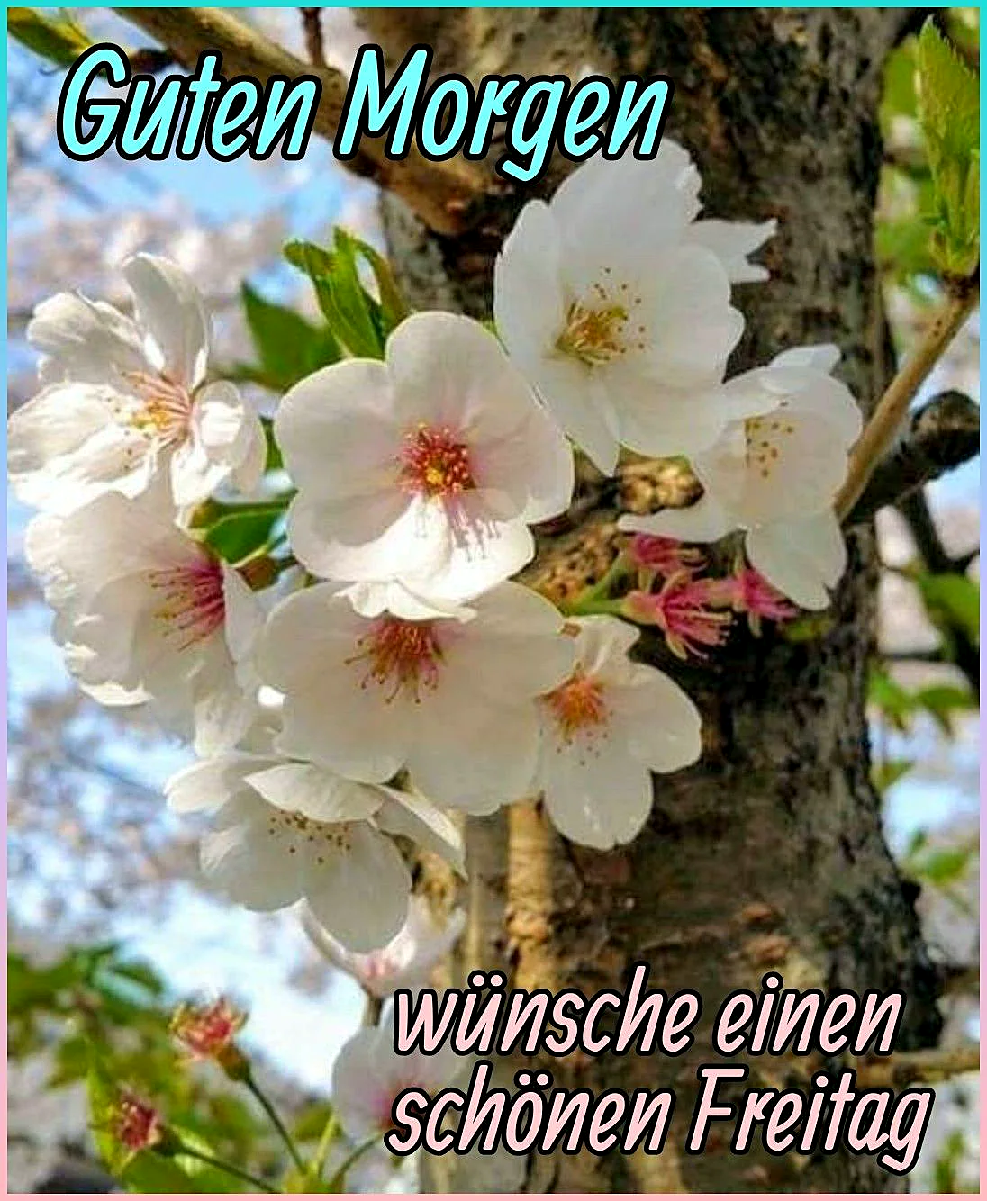 Guten Morgen, endlich Freitag