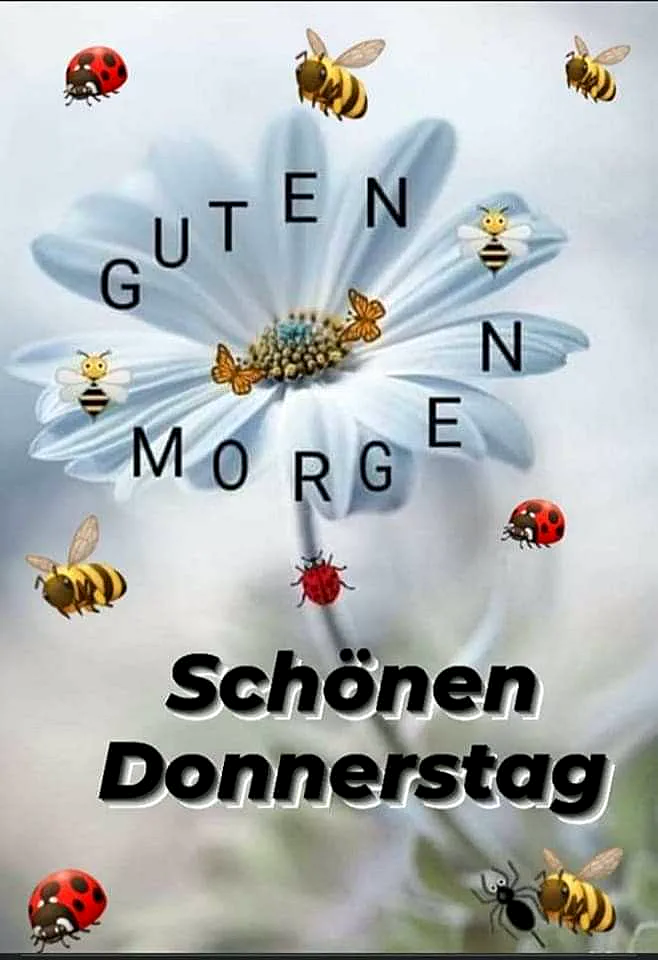 Guten Morgen, Schönen Donnerstag - Ein frischer Start in den Tag