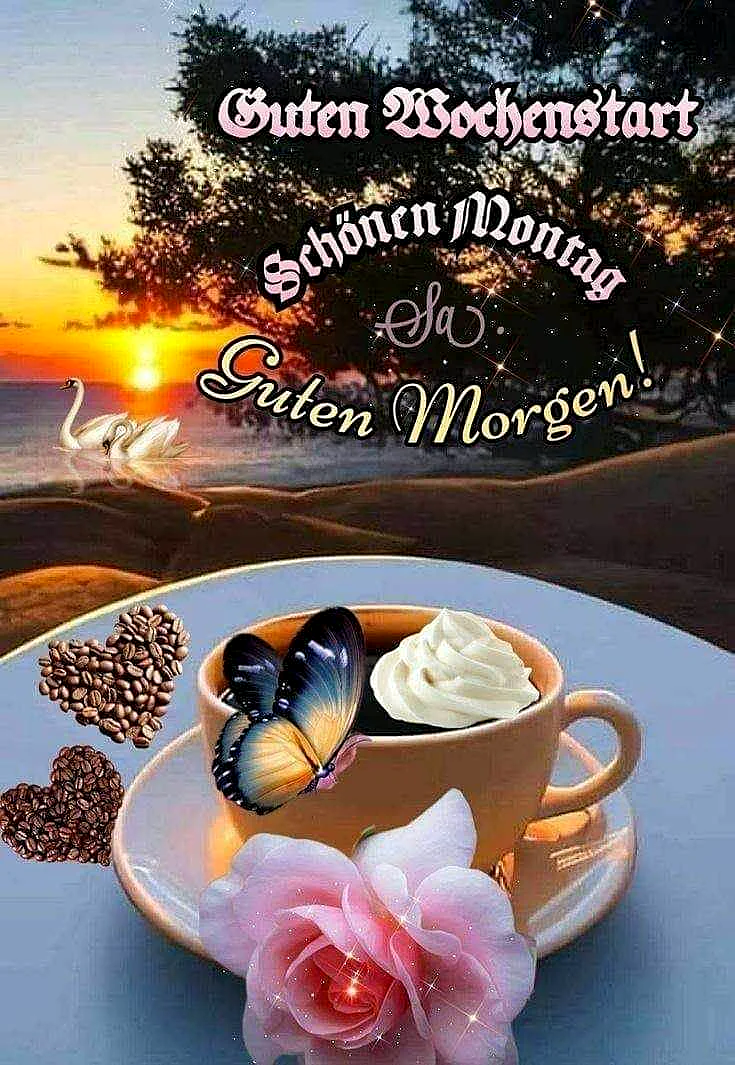Guten Morgen! Schönen Montag Bilder für einen perfekten Start