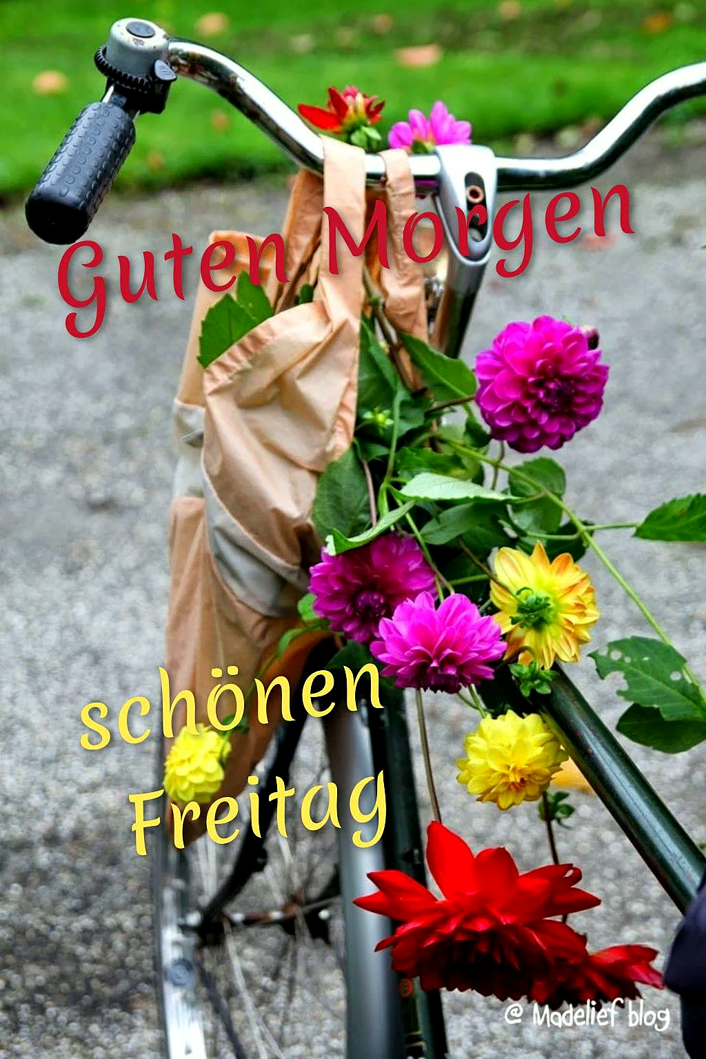 Guten Morgen und einen wunderschönen Freitag – mit bunten Blüten geht’s ins Wochenende!