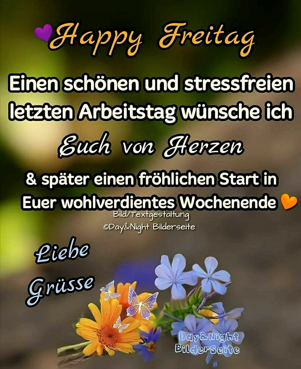 Ein farbenfrohes Bild mit Blumen in den Farben Orange und Blau, Schmetterlingen und einem verschwommenen Hintergrund, der eine entspannte Atmosphäre vermittelt.