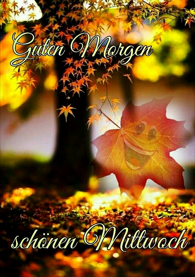 Herbstlicher Gruß zum Mittwoch: Guten Morgen!