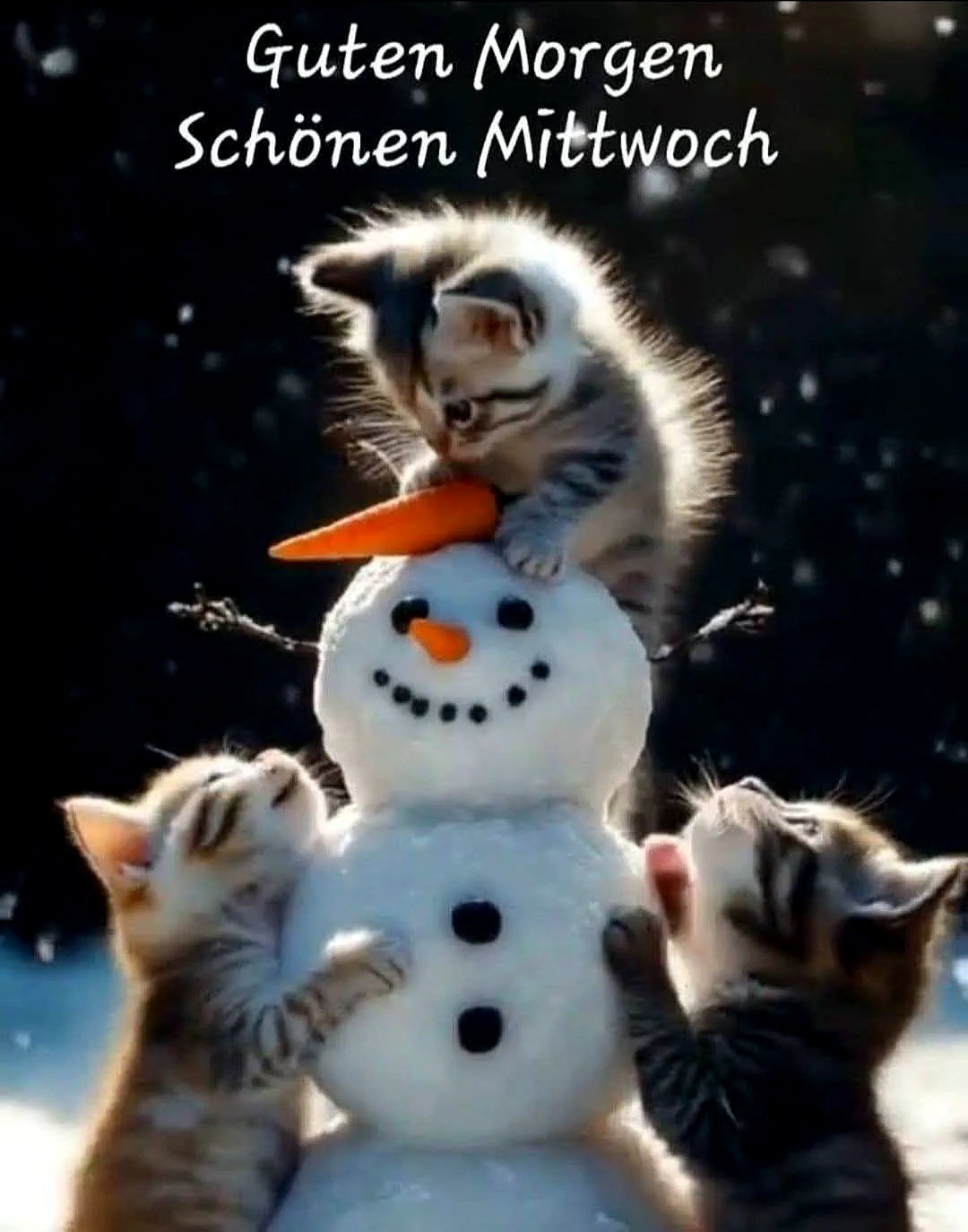 Kätzchen Schneemann Mittwoch Gruß