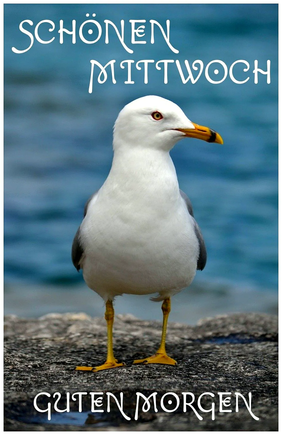 Mit Freude in die Wochenmitte